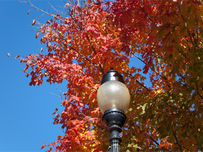 I don`t care about fall, but I go through the motions.