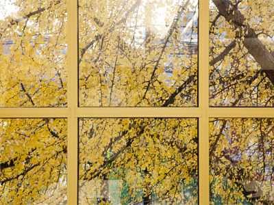 I`m glad I got thirsty, went to the drinking fountain, and noticed this window as I was walking past a classroom.