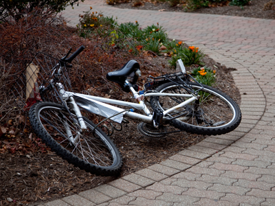 Necessary for all life on this planet.  And nice to look at too.