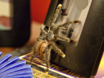 Practice makes perfect.