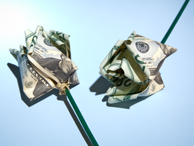 Using the twist ties, connect three pairs of petals to each stem to create a `money flower.`  Now . . . who is it for?