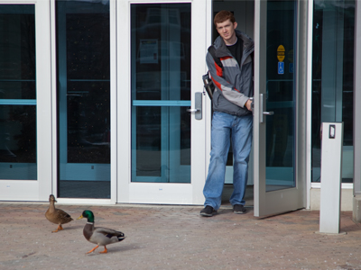 `What did you think of that exam?` `QUACK QUACK!` `What did you put for question 3?` `QUACK QUACK!`