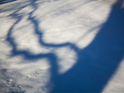 Yes, snow really is blue (see December 6, 2007, for an explanation).