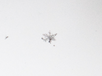 I can admire them, but I still don`t like them.