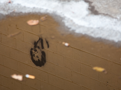 Reflections of James Brown.