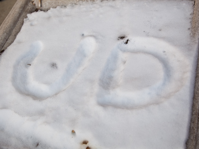 Left by some frigid Flyer fan.