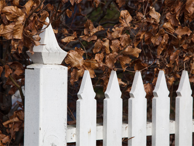 There were several other people walking in the garden, including a photographer and model with no coats on.