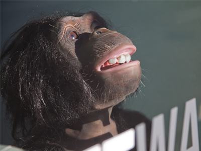 This year, I`m really going to get serious about photography.  No more monkeying around.