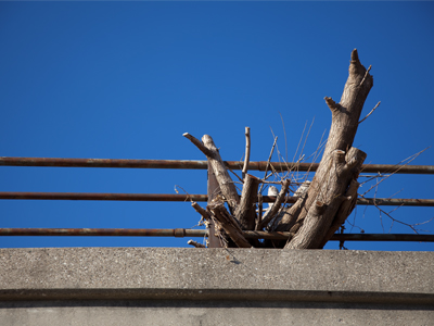 Irrepressible nature.