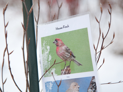 I approached very quietly so it wouldn`t fly away.