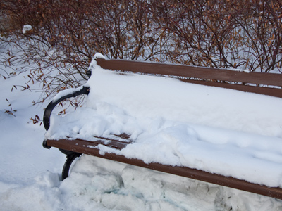 Somebody REALLY wanted to sit down.