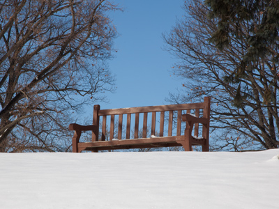 I continue my endless fascination with park benches in winter (I predict there`s one coming tomorrow too).