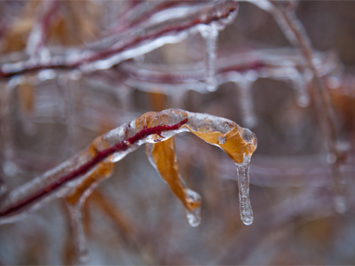 Is it wrong to hate something so beautiful?