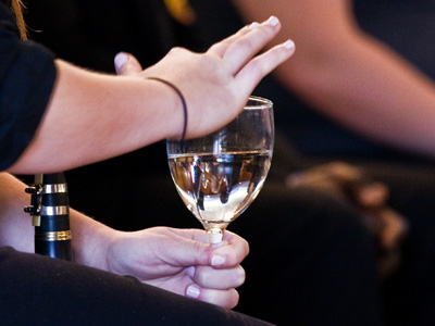 You see, I TOLD you they were musical instruments (see February 10 above).