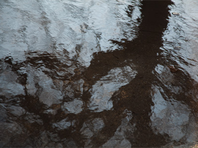 A jogger ran by and announced, `IT`S SPRING!`