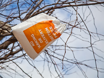 Don`t park in this tree.