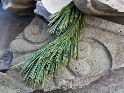 And someone put this here too.