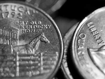 I like taking pictures of horses.