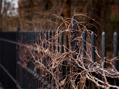 With things made by nature, decay is followed by renewal.