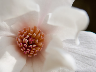 Turn off the TV.  Go outside.  Look around.  Be grateful.