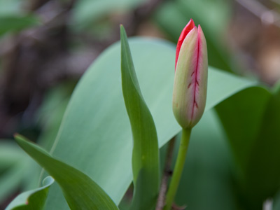 In no hurry.  Still thinking about it.