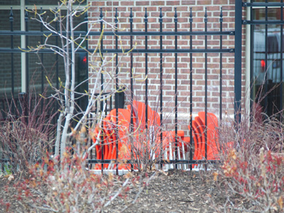 Have YOU taken photos for 2,500 days in a row like me?  Well, if not, kindly withhold your criticism of this picture.