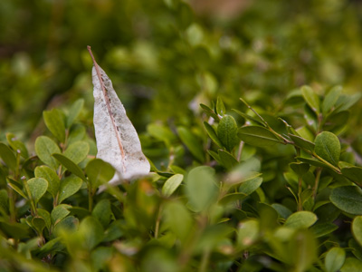 Dare to be different.