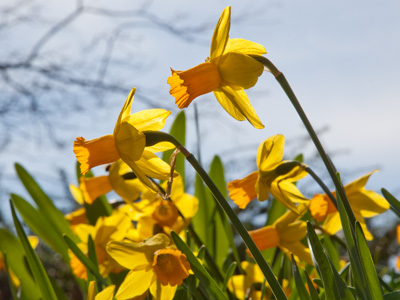 I don`t care what the calendar says, Spring began today.