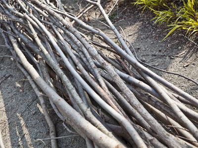 The amazing thing is that Patrick Dougherty`s stickwork sculptures start out with tree branches that are STRAIGHT.