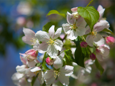 On a day like this, what can go wrong?