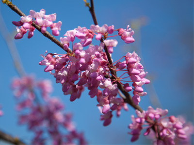 Look up, look down, I can`t decide.