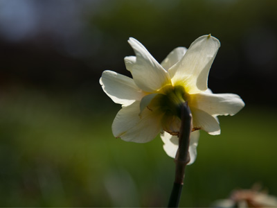 In the park today, I had to avoid TWO photographers taking pictures of little girls (and their annoying mothers).