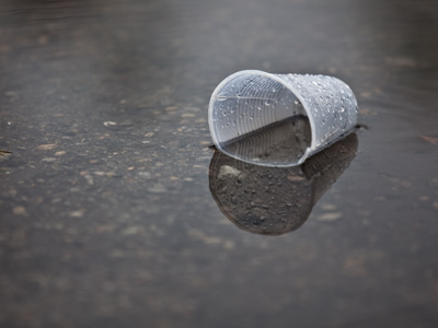 Feel like a cup of rainwater?