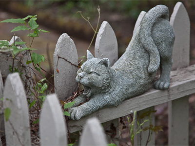 I`m not allergic to this kind.