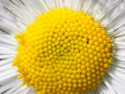 Why I spend absurd amounts of money on lenses.