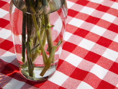 The first known usage of the word `picnic` was in 1692.