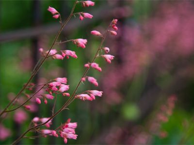 Not at all what I intended to show you here.