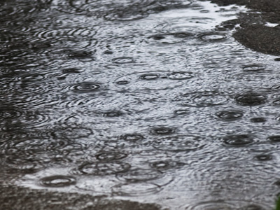 Why today`s pictures aren`t any good.  Well, one reason.