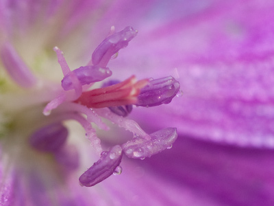 When weather, time and motivation all come together, I`m still capable of taking photos that I am satisfied with.