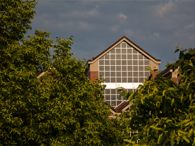 Law schools don`t just grow on trees.