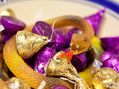 `Want ssssome chocolate?  Yessss you do.`