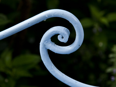 This kind of climbing vine is very resistent to herbicides.