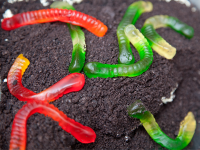 Picnic, as seen from below.