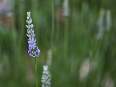 A long time ago, I would`ve really liked this picture, but I wouldn`t have understood why it turned out like it did.