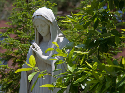 Haven`t been back through the pines for a while.