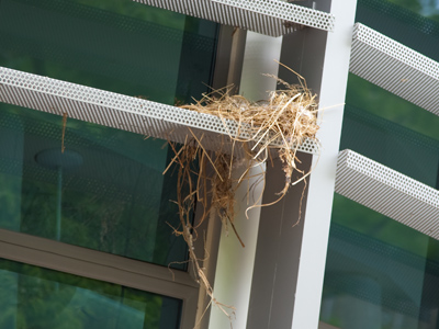 I`ve been really busy and the place has gotten a bit messy.