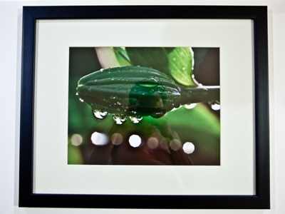 Coming soon to a gallery near you (if you leave near the Dayton Visual Arts Center at 118 North Jefferson Street).