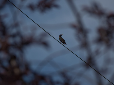 Uh, what I said in the last caption.