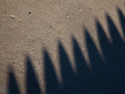 Today it`s mostly about sunshine and shadow.