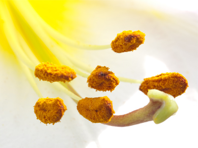 There are tiny bugs in this shot too, but I won`t make you look at them.